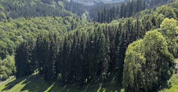 Valley